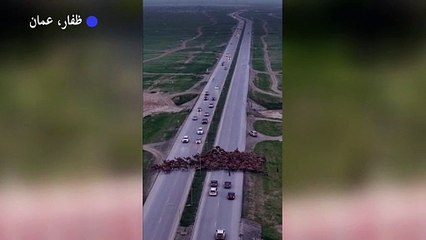 جمال تشل حركة السير في عمان