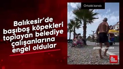 Balıkesir'de başıboş köpekleri toplayan belediye çalışanlarına engel oldular