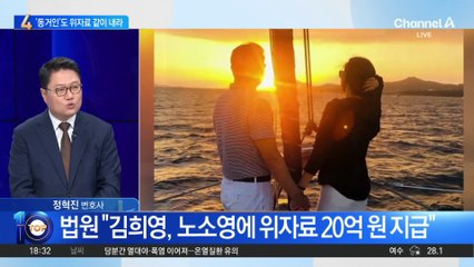 “최태원·동거인, 위자료 20억 원 함께 부담해야”