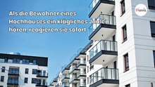 Aus der Wohnung kommen Schreie: Als die Nachbarn nachsehen, trifft sie der Schlag!