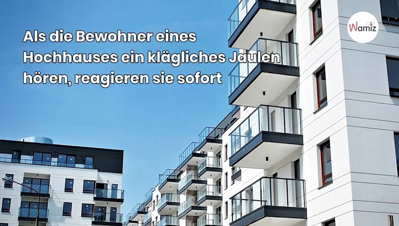 Aus der Wohnung kommen Schreie: Als die Nachbarn nachsehen, trifft sie der Schlag!