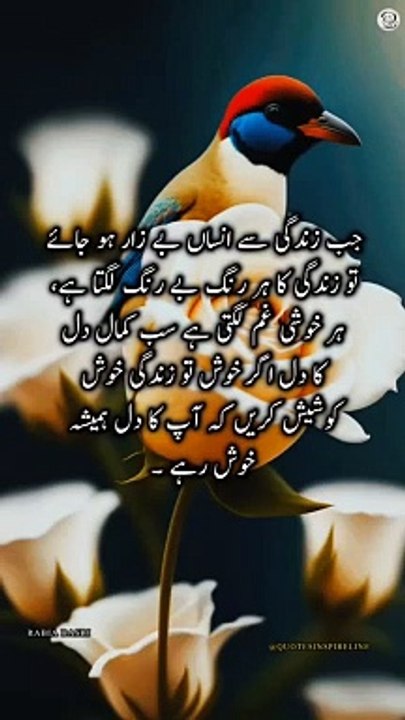 Urdu poetry | islamic quotes | Aqwal e zareen in Urdu hindi | New urdu quotes