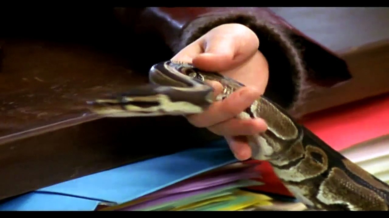 P.J. — Enfant battu | P.J. – LA COLLECTION OFFICIELLE EN DVD — SAISON 4 – ÉPISODE 45 – DVD N° 14