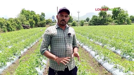 लानेव्हो कीटकनाशक वापरून शेतकऱ्याने साधली समृद्धी  Final Cut