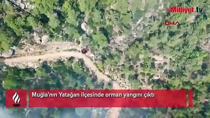 Muğla Yatağan’da orman yangını