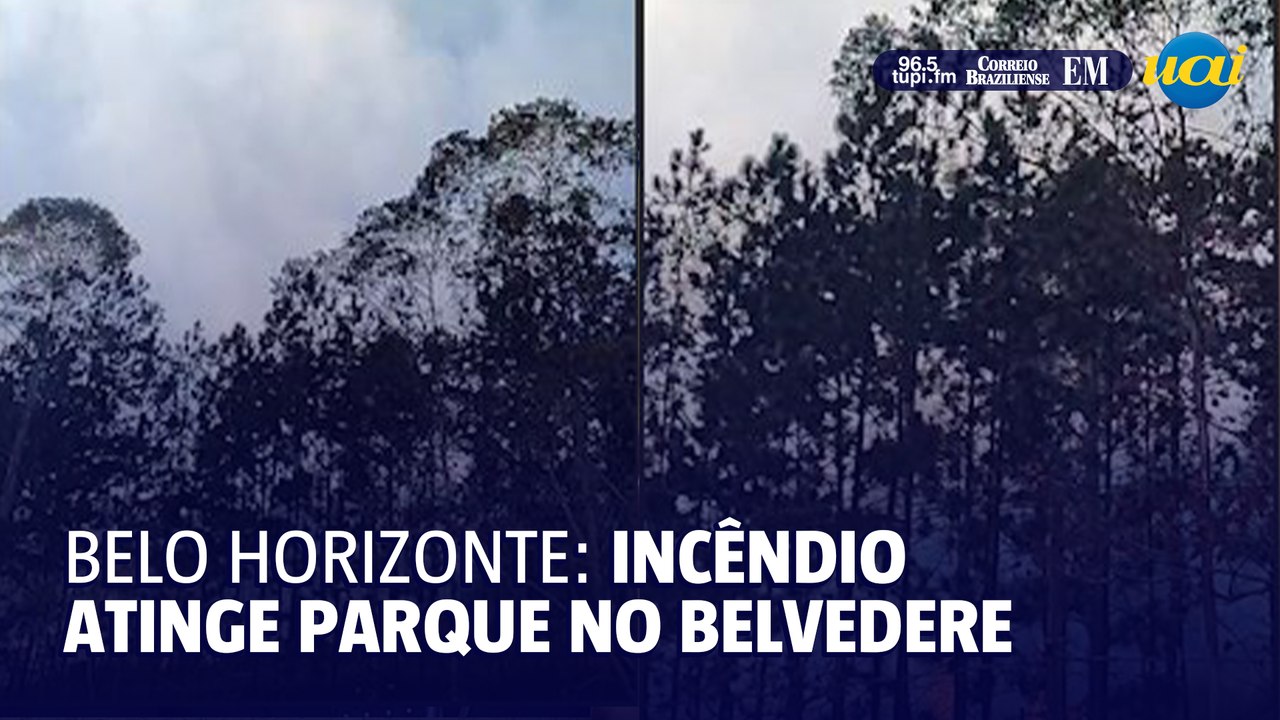 Incêndio atinge Parque Linear do Belvedere