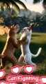 Two cat fight each others seriously