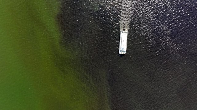 İzmir Körfezi'nden kötü kokular geliyor... Balık ölümleri sürüyor