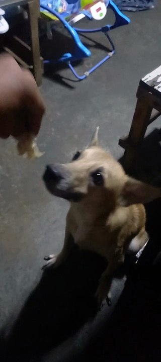 kopi is d name
