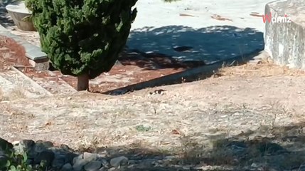 Ven dos puntos a lo lejos acercarse y no pueden creer lo que son hasta que los tienen encima