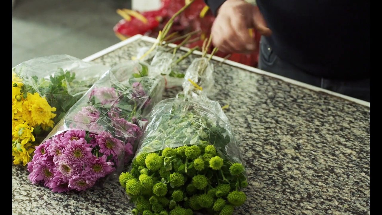 Boomerang Videoauszug OV