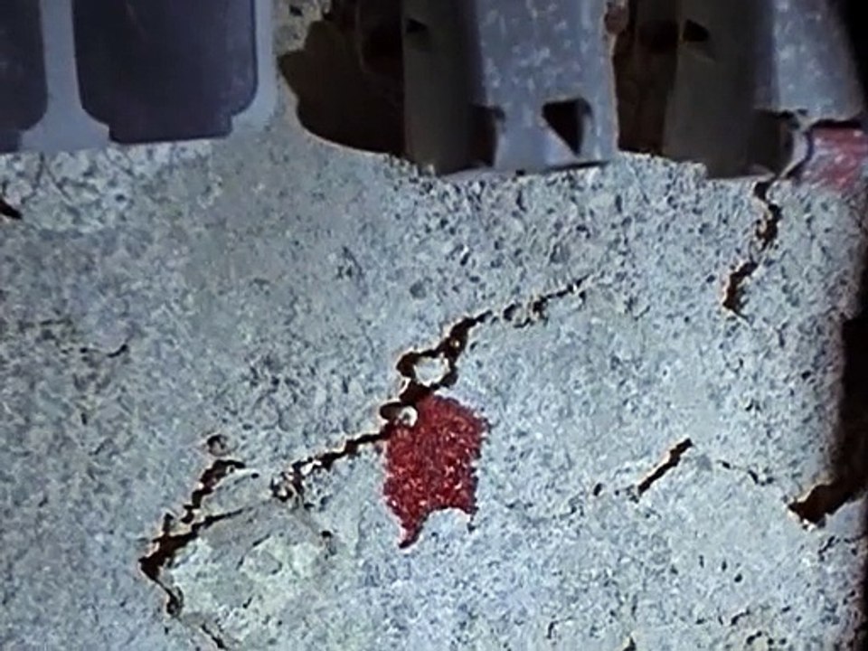 Siska E18-Sonjas Freund