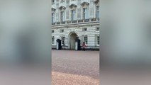 Buckingham Palace guard takes a tumble while on duty
