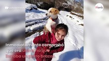 Veterinario cura una vaca en una granja: ve una sombra caminando en la nieve y comienza a correr