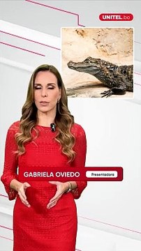 Un hombre fue atacado por dos lagartos que le desfiguraron el rostro cuando estaba pescando en el río Piraí