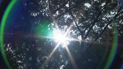 올여름 온열 질환자 3,000명 넘어...사망자 28명 / YTN