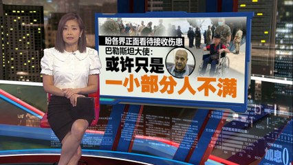 我国让巴勒斯坦伤患前来疗伤   大使: 伤好了就离开大马
