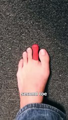Do You Have A Long Second Toe  #reels #science #facts #hellofebruar