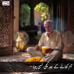 Raw lassi after eating mango! آم کھانے کے بعد کچی لسی!