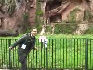Libera la scimmia allo zoo