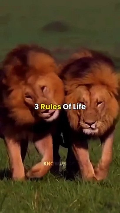 Sigma Rule               #shorts #motivation #attitude #viral #trending #sigmarule #quotes