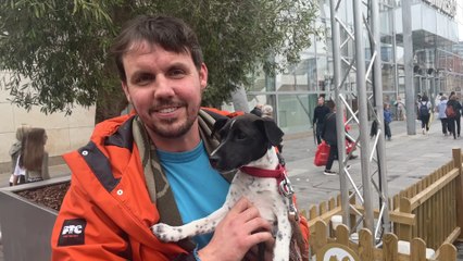 People on the street: Would you rather have a romantic date night or cuddle on the sofa with your dog?