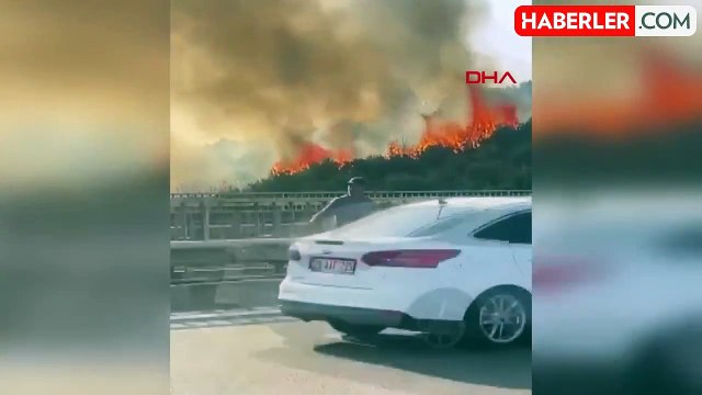 Gebze-Orhangazi-İzmir Otoyolu'nda Yangın Çıktı