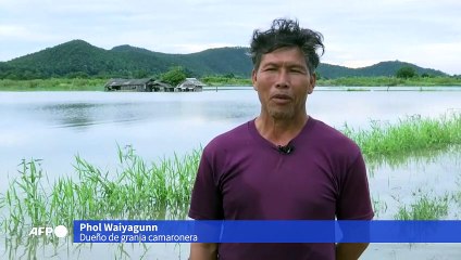 Cinco muertos por inundaciones en el norte de Tailandia