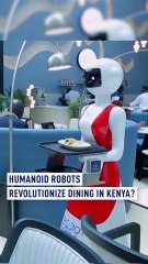 'Silicon Savannah': Humanoid robots revolutionize dining in Kenya?