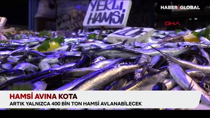 Hamsiye 400 bin ton av kotası: Fiyatları etkileyecek mi, balıkçılar ne diyor?
