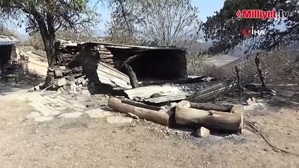 Manisa'da çıkan yangından etkilendi! Dehşet anlarını anlattı: Canımızı zor kurtardık