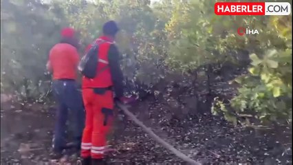 Bingöl'de iki bölgede çıkan orman yangını söndürüldü