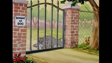 Tom___Jerry___A_Bit_of_Fresh_Air!___Classic_Cartoon_Compilation___@WB_Kids(360p)