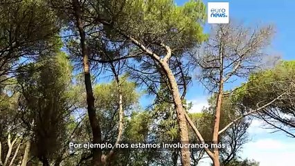 ¿Cómo ha conseguido Portugal reducir el número de incendios en sólo seis años?