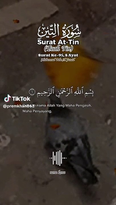 Surt wateen
