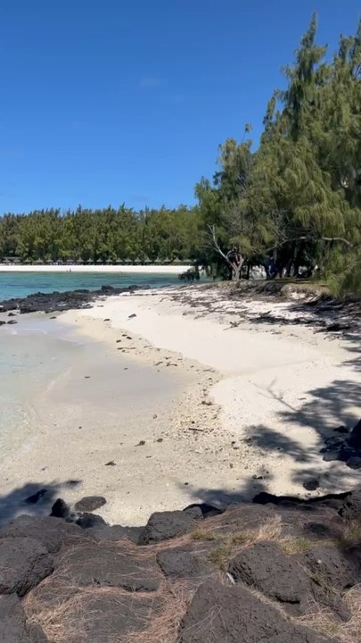 L’INCROYABLE île aux cerfs