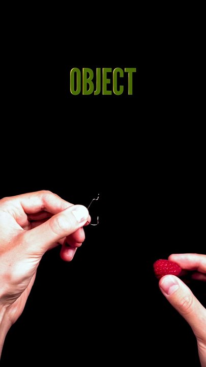 Strawberry and fishing hook
