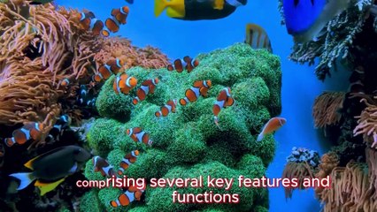 The Ocean 4K -  Wildlife  With Calming Music || OCEAN