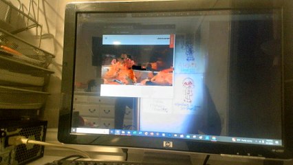 the fairly evenparents part 131