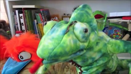 Muppet Whatnot Wedding - Davis & Riva (Edit Version)