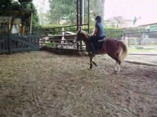 PiAFFER DE CHEVAUX