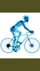 cycle reding 3d annotation