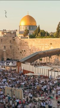 #free #freepalestine #freegaza #palestine #gaza #ceasefirenow #droitinternational #fyp #pourtoi #viralreels