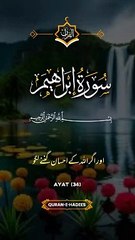 Islamic video, Quran translation