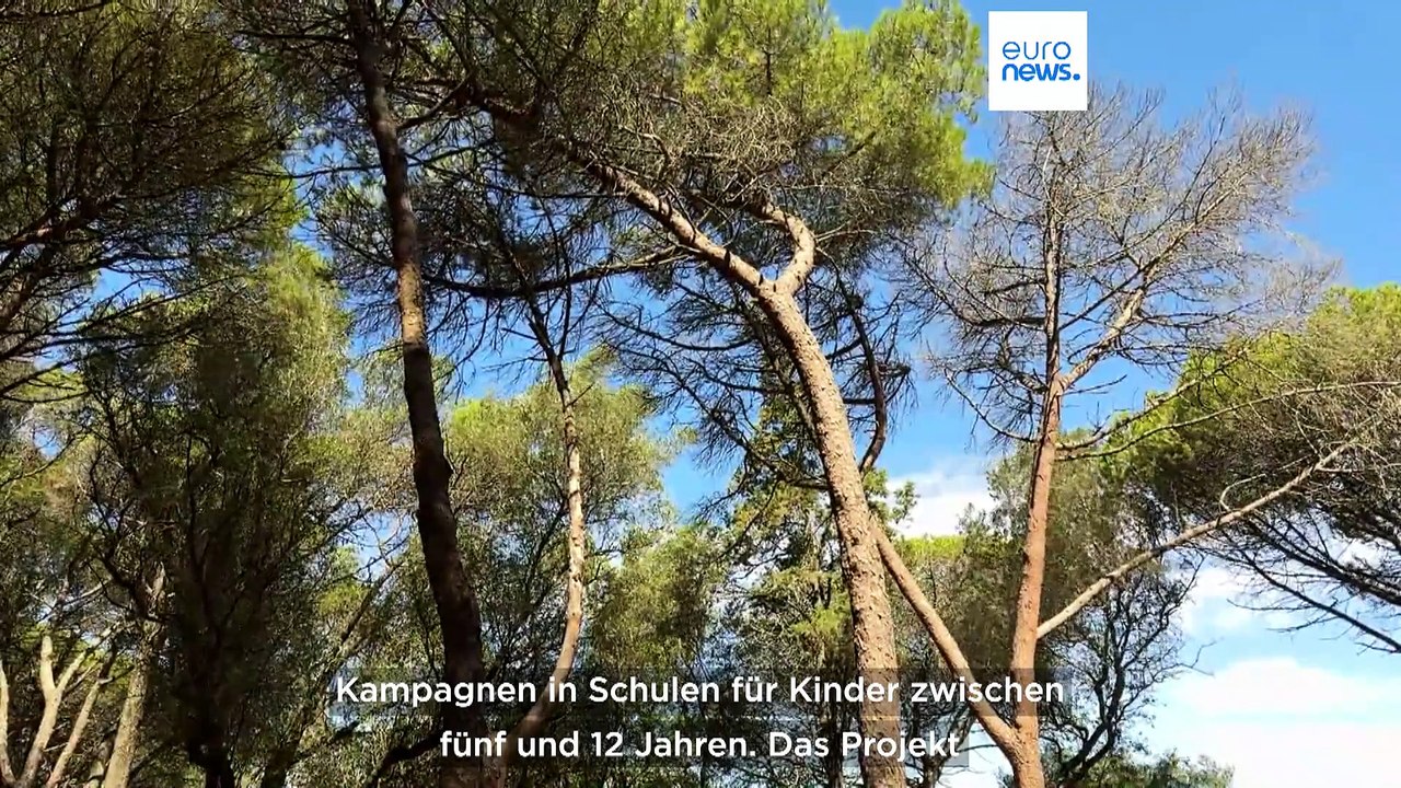 Wie hat es Portugal geschafft, die Zahl der Brände in nur 6 Jahren zu verringern?