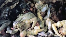 History.Ch.Clash.of.the.Gods.Season.1.05of10.Medusa.XviD.MP3.MVGroup.org
