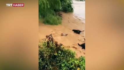 Bangladeş'te seller nedeniyle mahsur kalan kişi sayısı 3 milyona çıktı