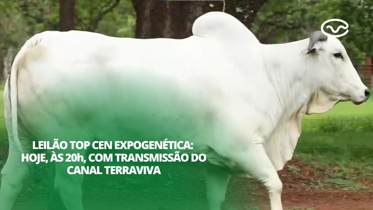 Leilão Top Cen ExpoGenética: hoje, às 20h, com...