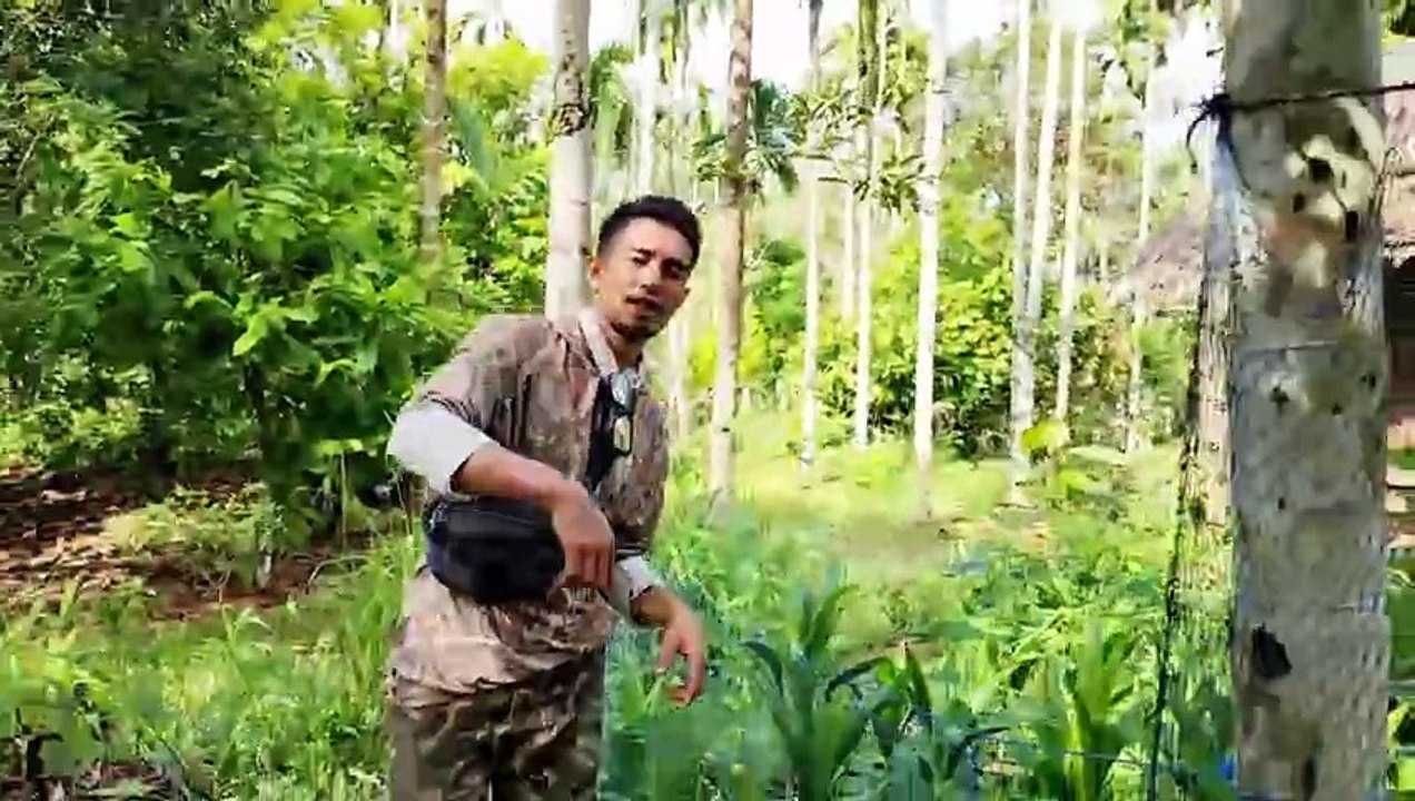 LUAR BIASA MEMBANGUN SARANG SERENDAH INI