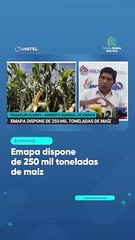 Emapa dispone de 250 mil toneladas de maíz
